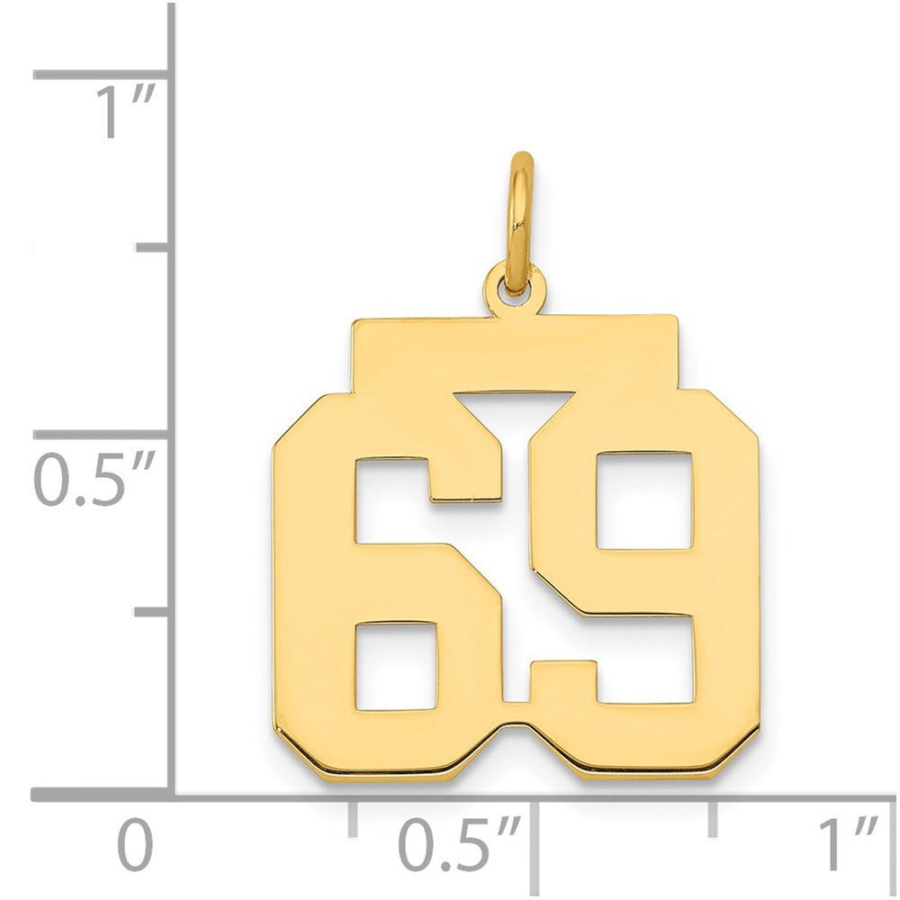 14k Medium Polished Number 69 Charm