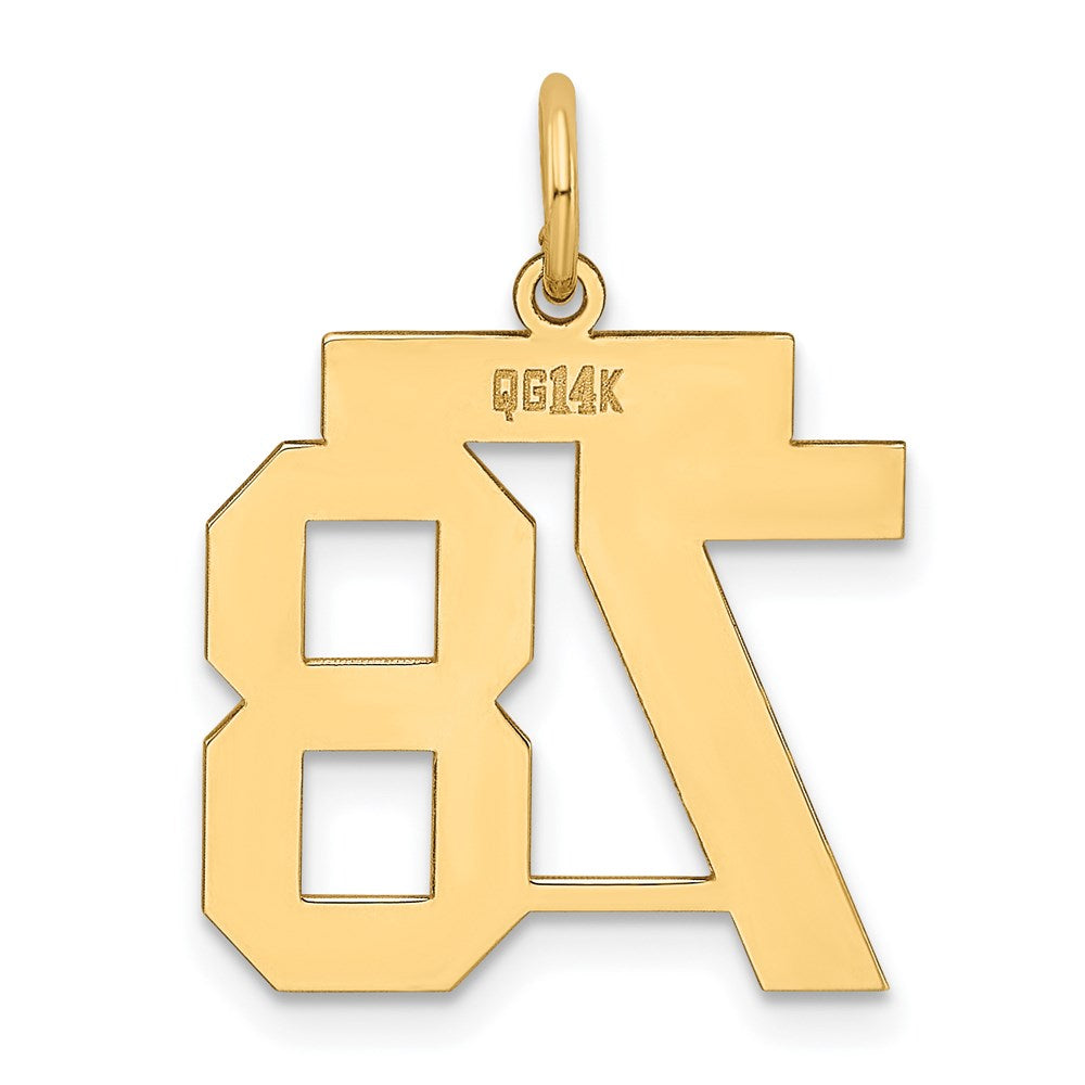 14k Medium Polished Number 78 Charm