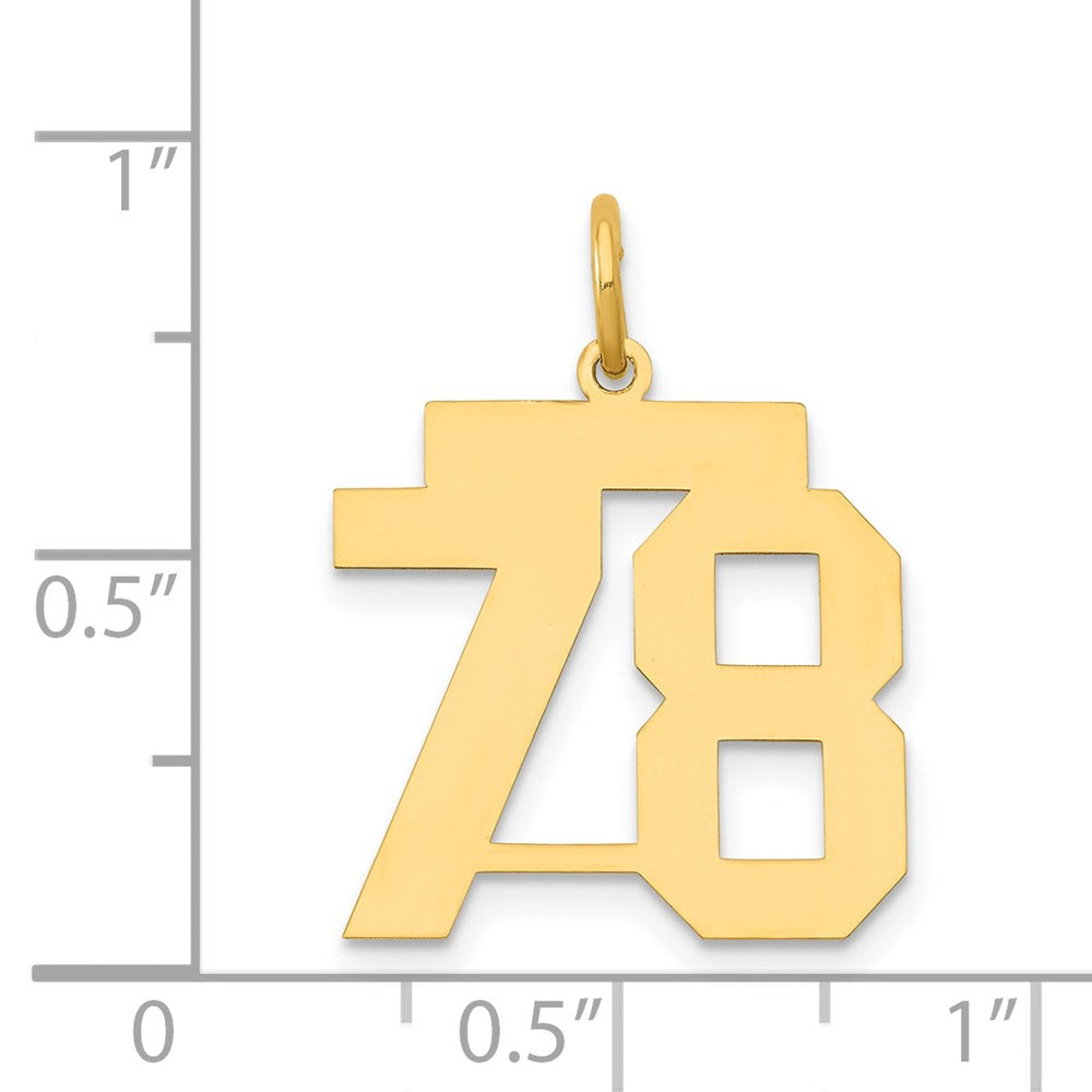 14k Medium Polished Number 78 Charm