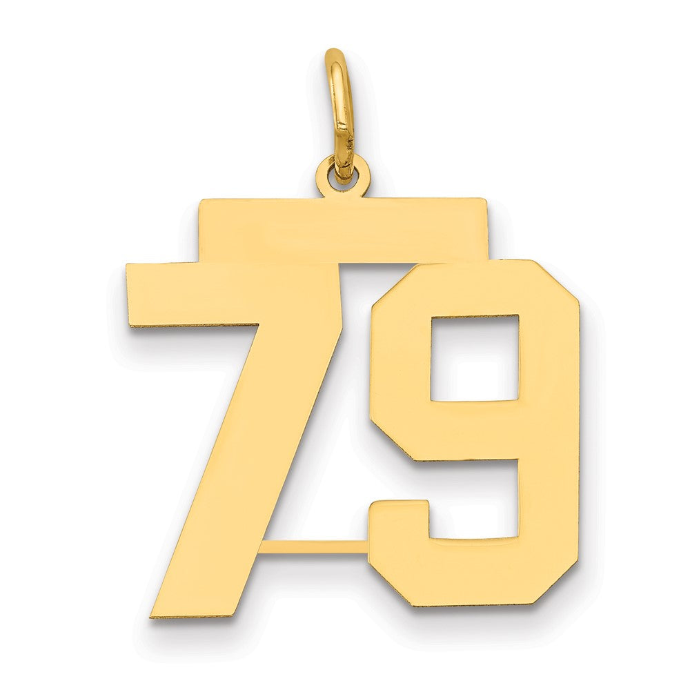 14k Medium Polished Number 79 Charm