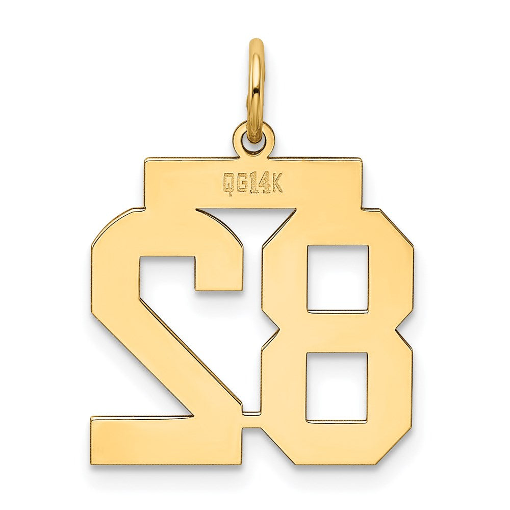 14k Medium Polished Number 82 Charm