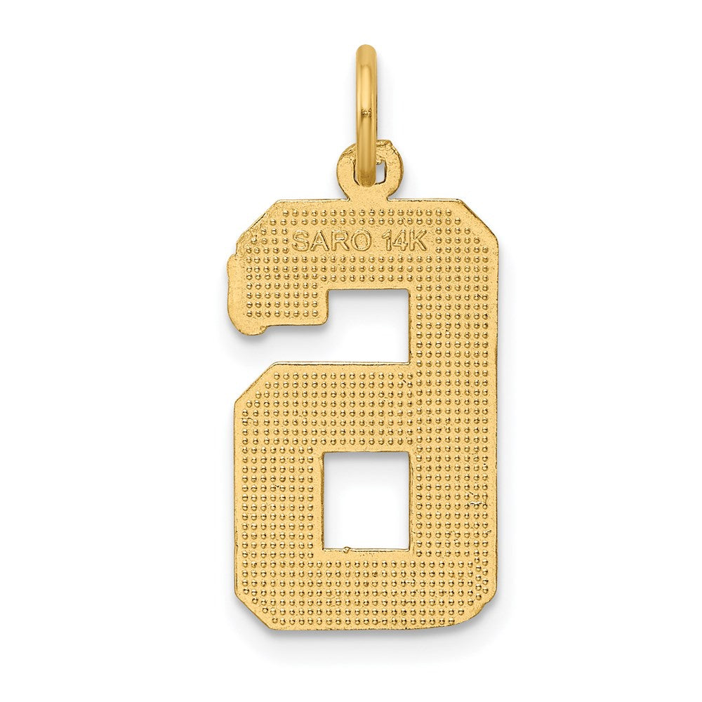 14k Large Brushed Diamond-cut Number 6 Charm