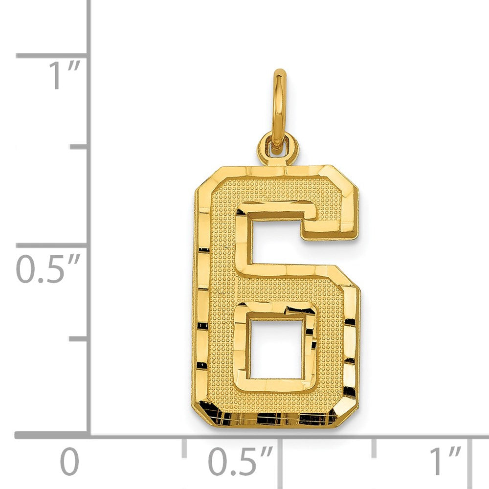 14k Large Brushed Diamond-cut Number 6 Charm