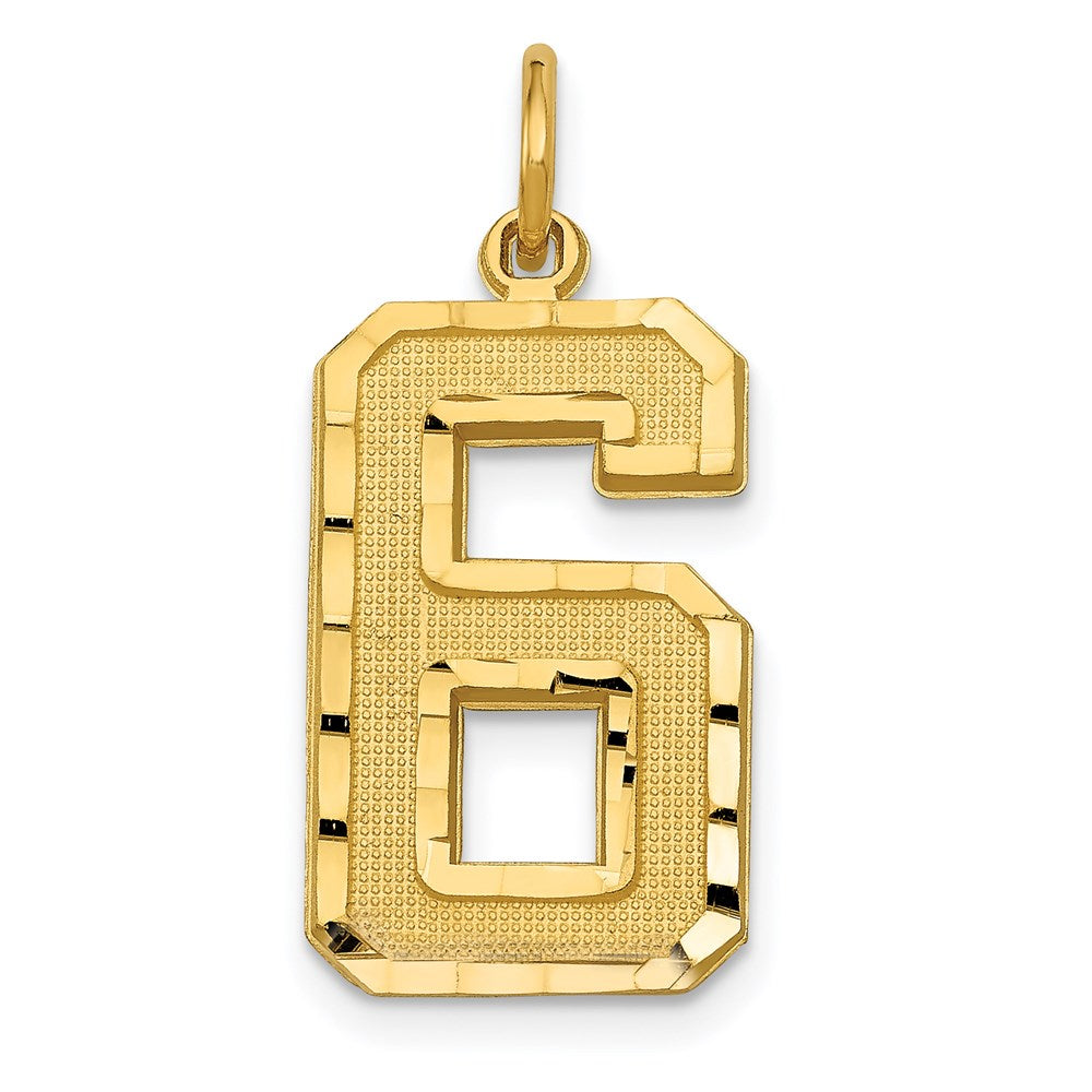 14k Large Brushed Diamond-cut Number 6 Charm