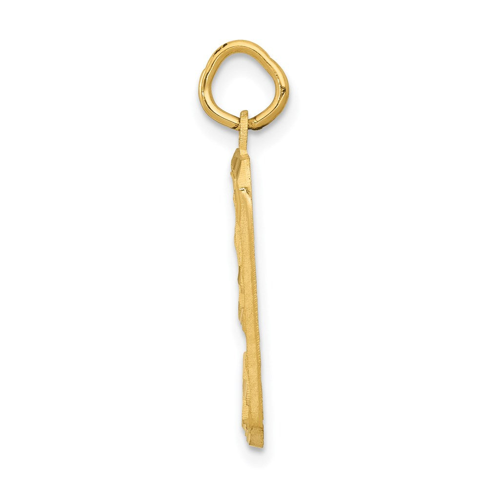 14k Large Brushed Diamond-cut Number 9 Charm