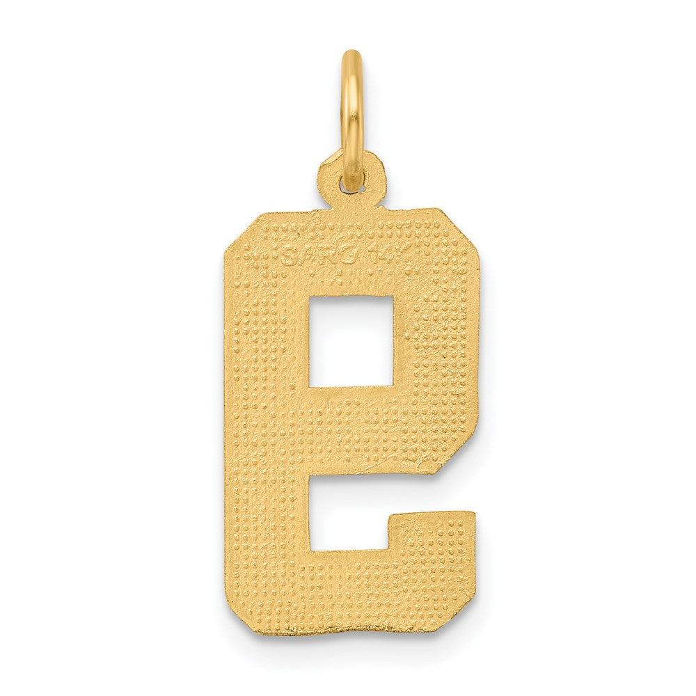 14k Large Brushed Diamond-cut Number 9 Charm