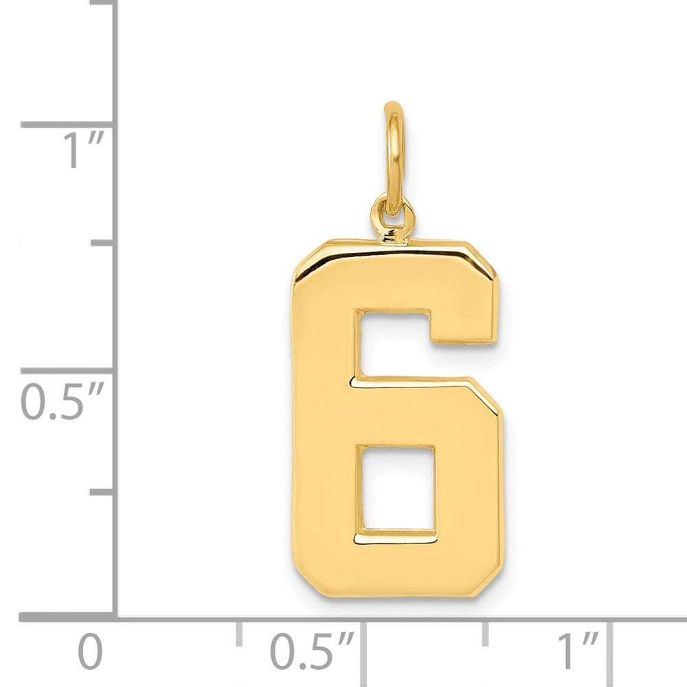 14k  Large Polished Number 6 Charm