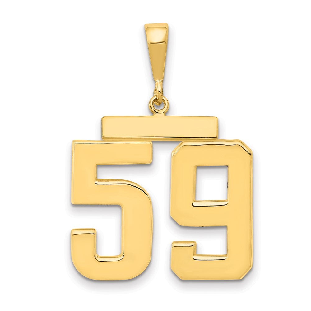 14k Large Polished Number 59 Charm