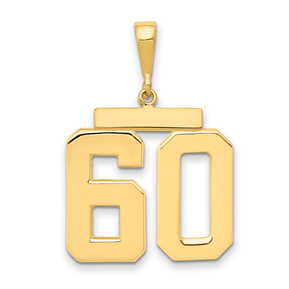 14k Large Polished Number 60 Charm