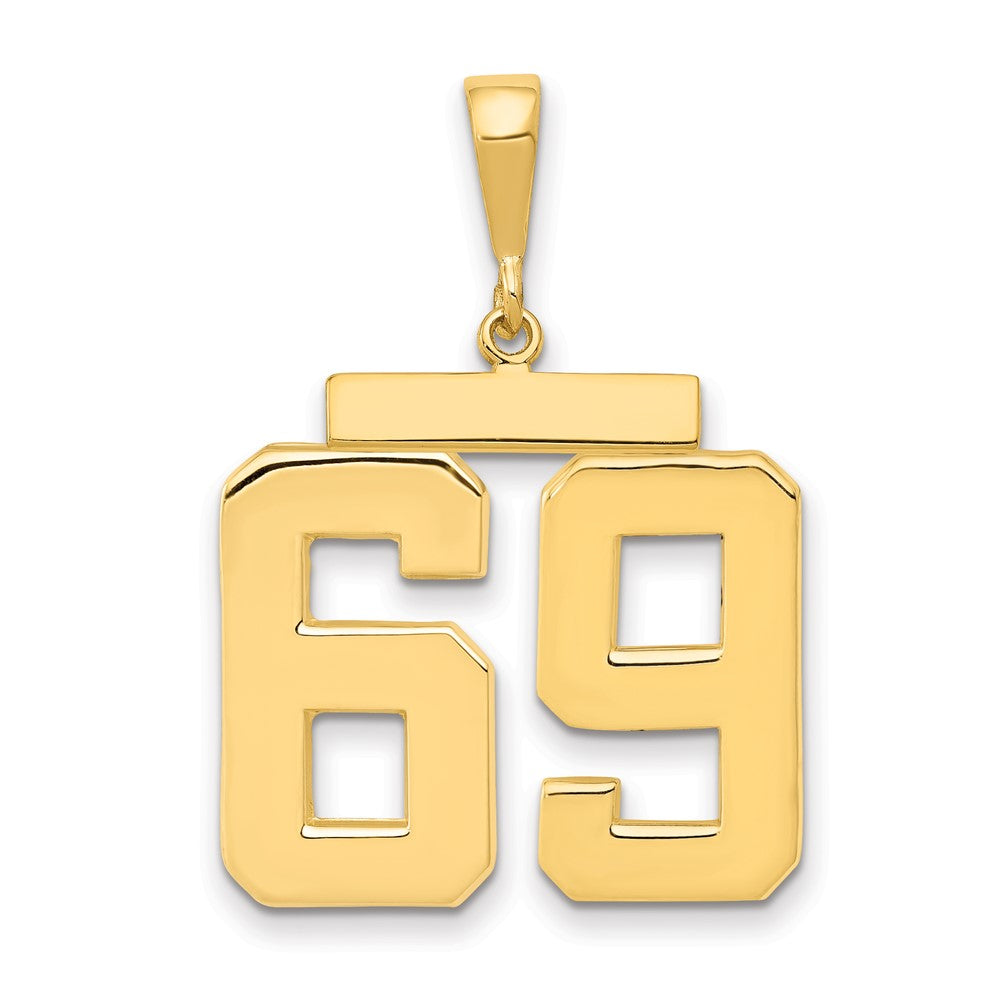 14k Large Polished Number 69 Charm