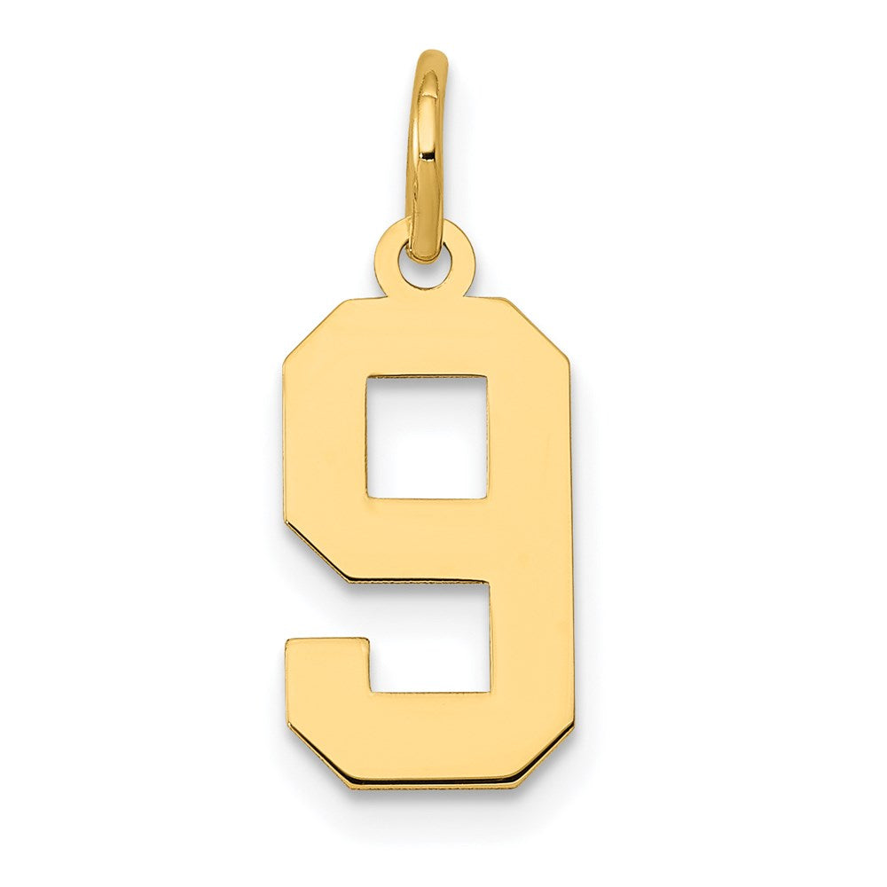 14k Small Polished Number 9 Charm
