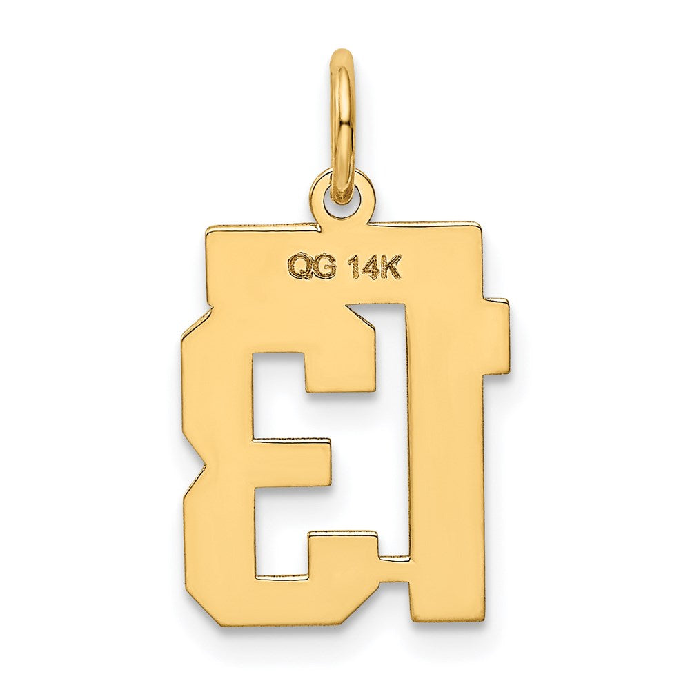 14k Small Polished Number 13 Charm