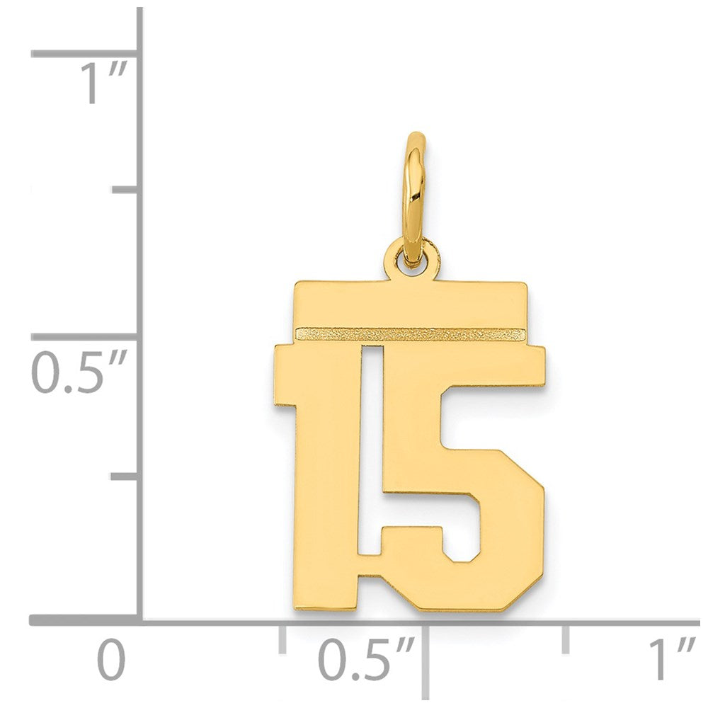 14k Small Polished Number 15 Charm