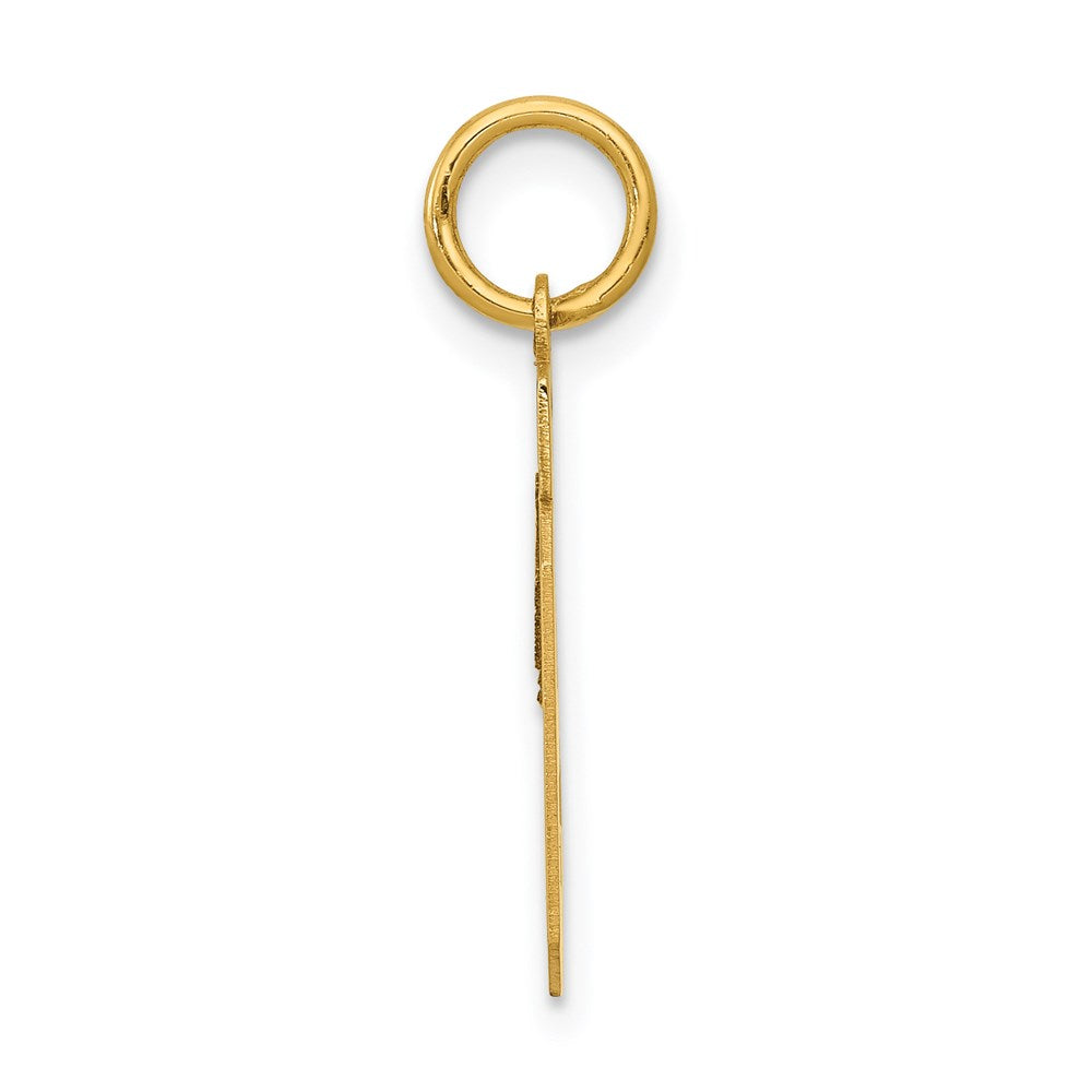 14k Small Polished Number 19 Charm