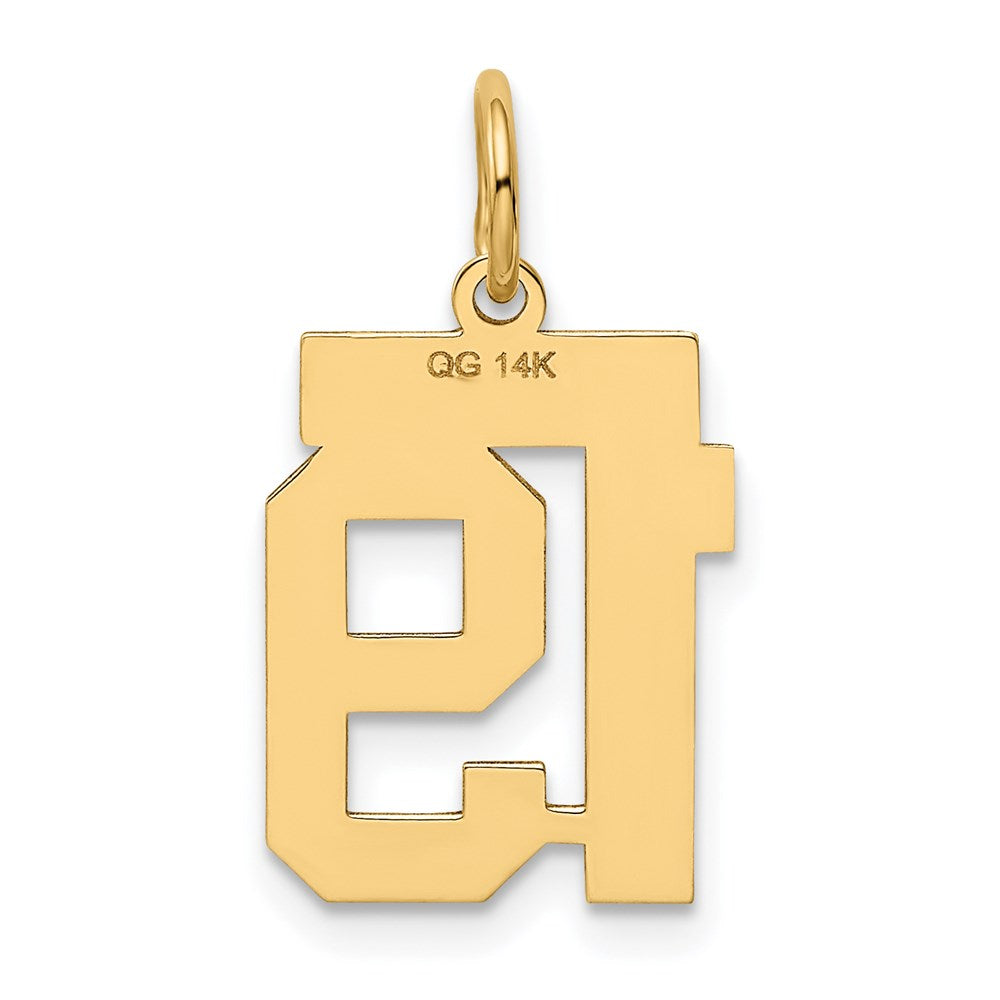 14k Small Polished Number 19 Charm