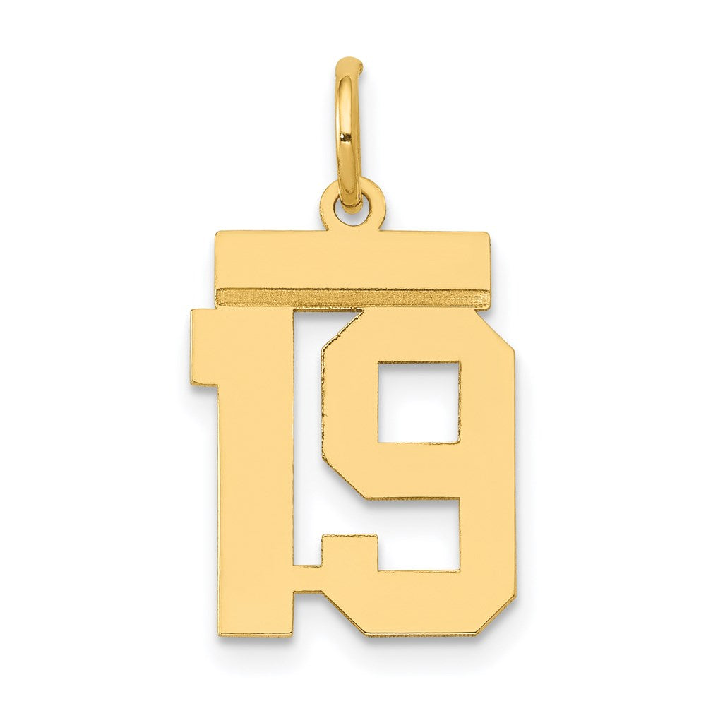 14k Small Polished Number 19 Charm