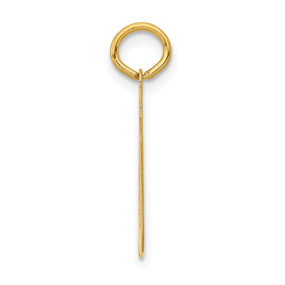 14k Small Polished Number 39 Charm