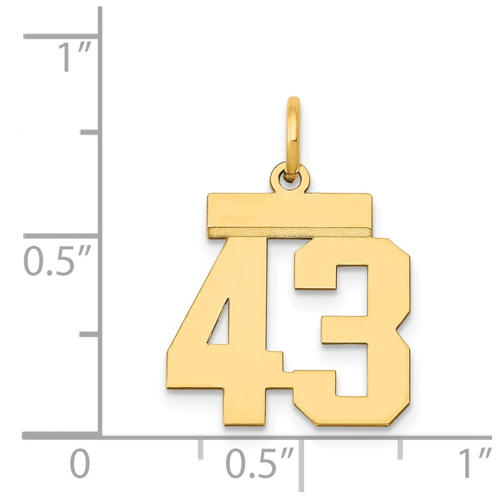 14k Small Polished Number 43 Charm