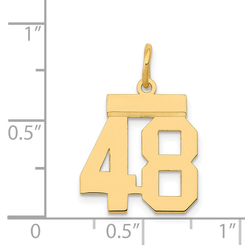 14k Small Polished Number 48 Charm