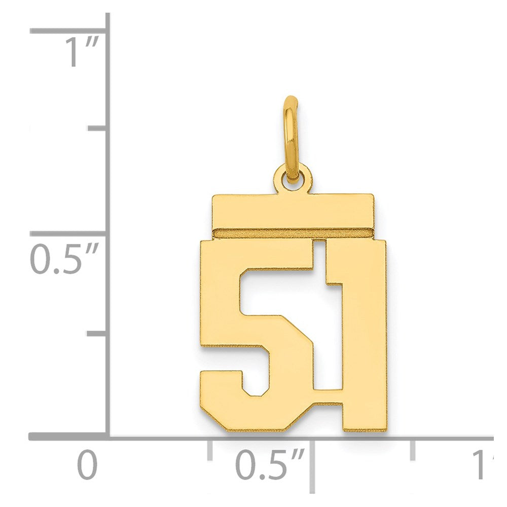 14k Small Polished Number 51 Charm