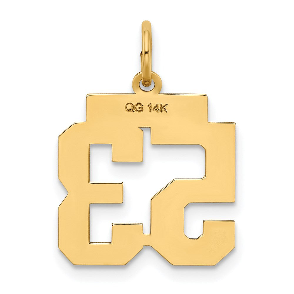 14k Small Polished Number 53 Charm