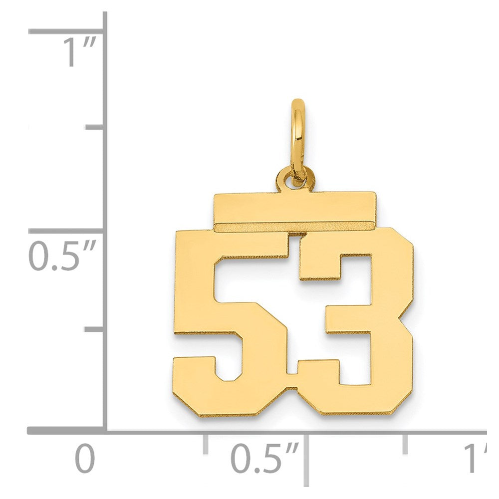 14k Small Polished Number 53 Charm