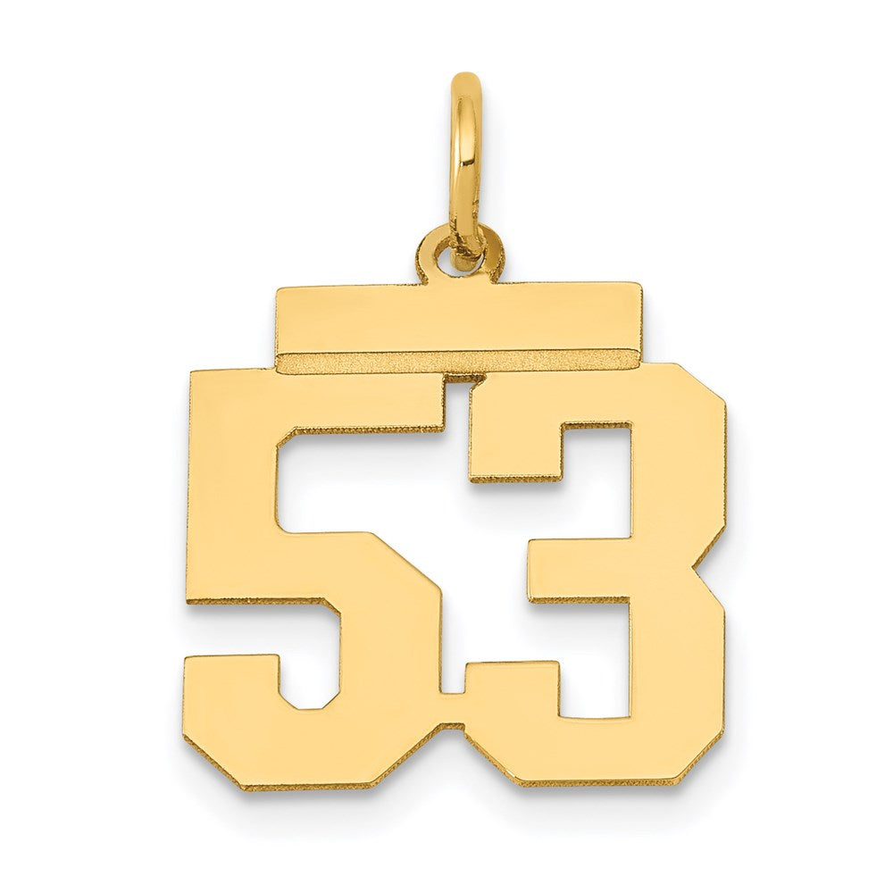 14k Small Polished Number 53 Charm