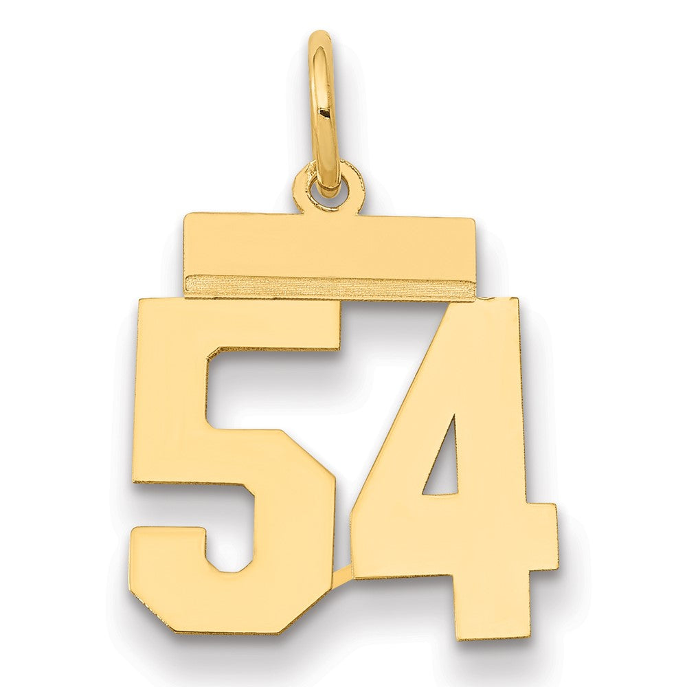 14k Small Polished Number 54 Charm