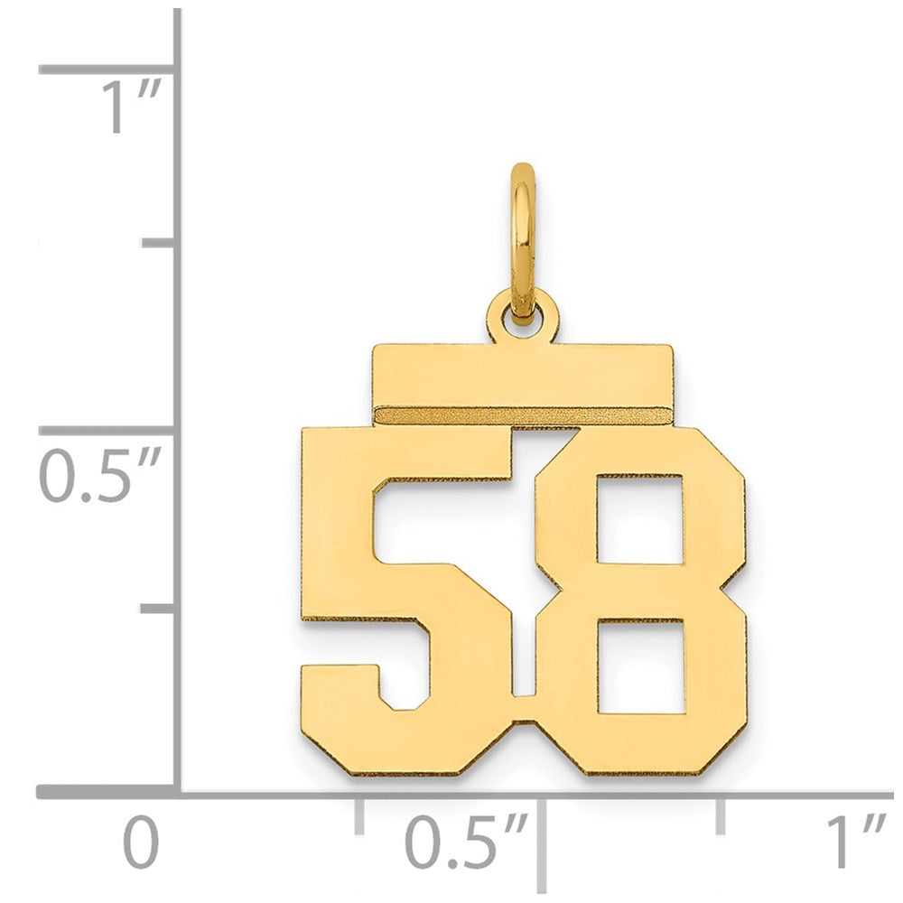14k Small Polished Number 58 Charm