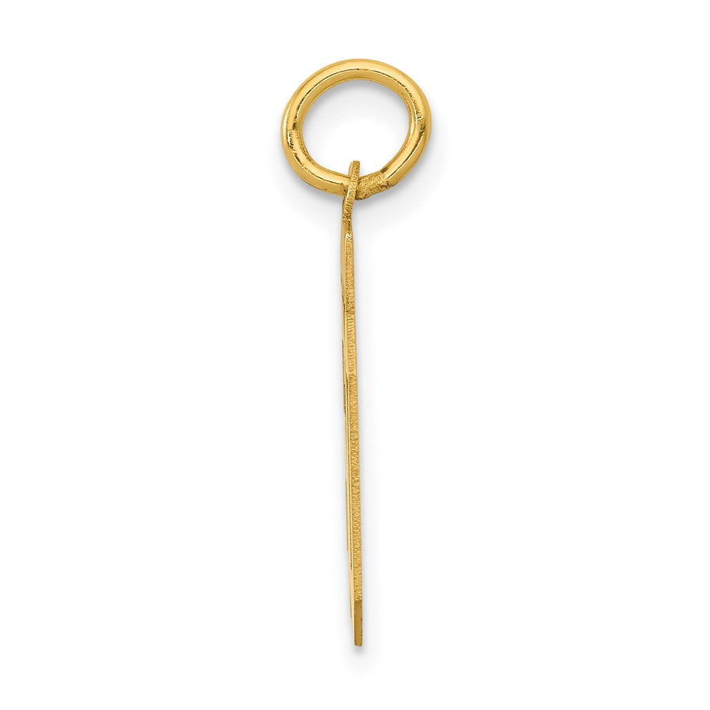 14k Small Polished Number 60 Charm