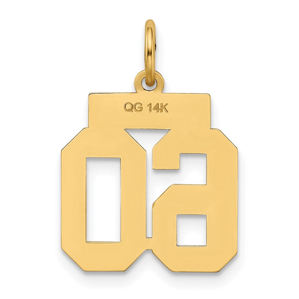 14k Small Polished Number 60 Charm