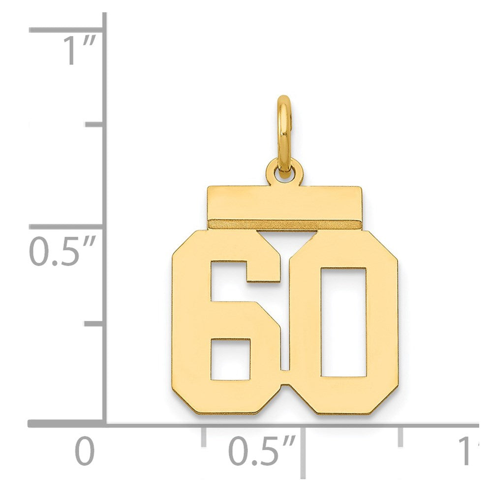 14k Small Polished Number 60 Charm