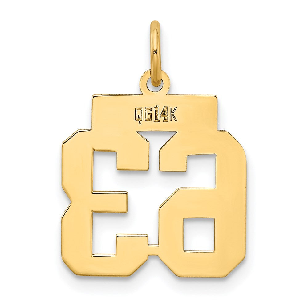 14k Small Polished Number 63 Charm