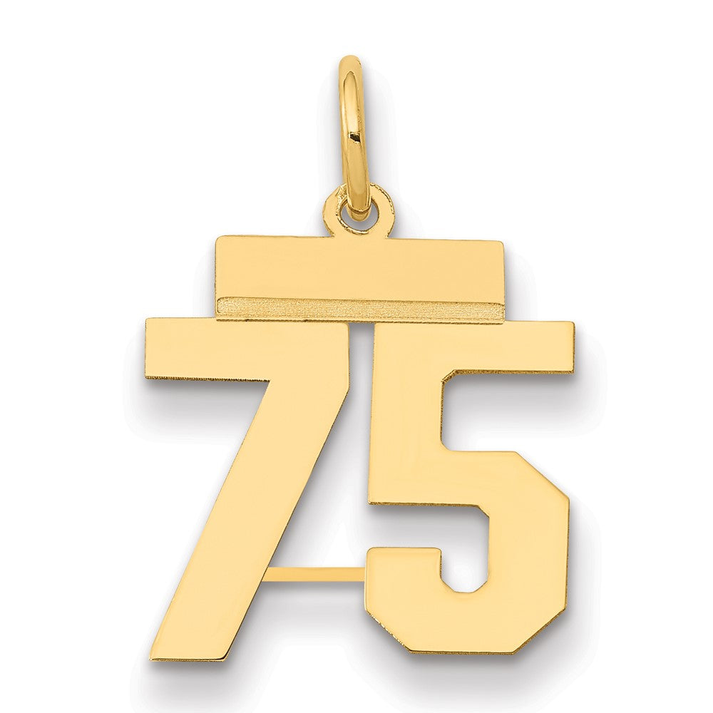 14k Small Polished Number 75 Charm