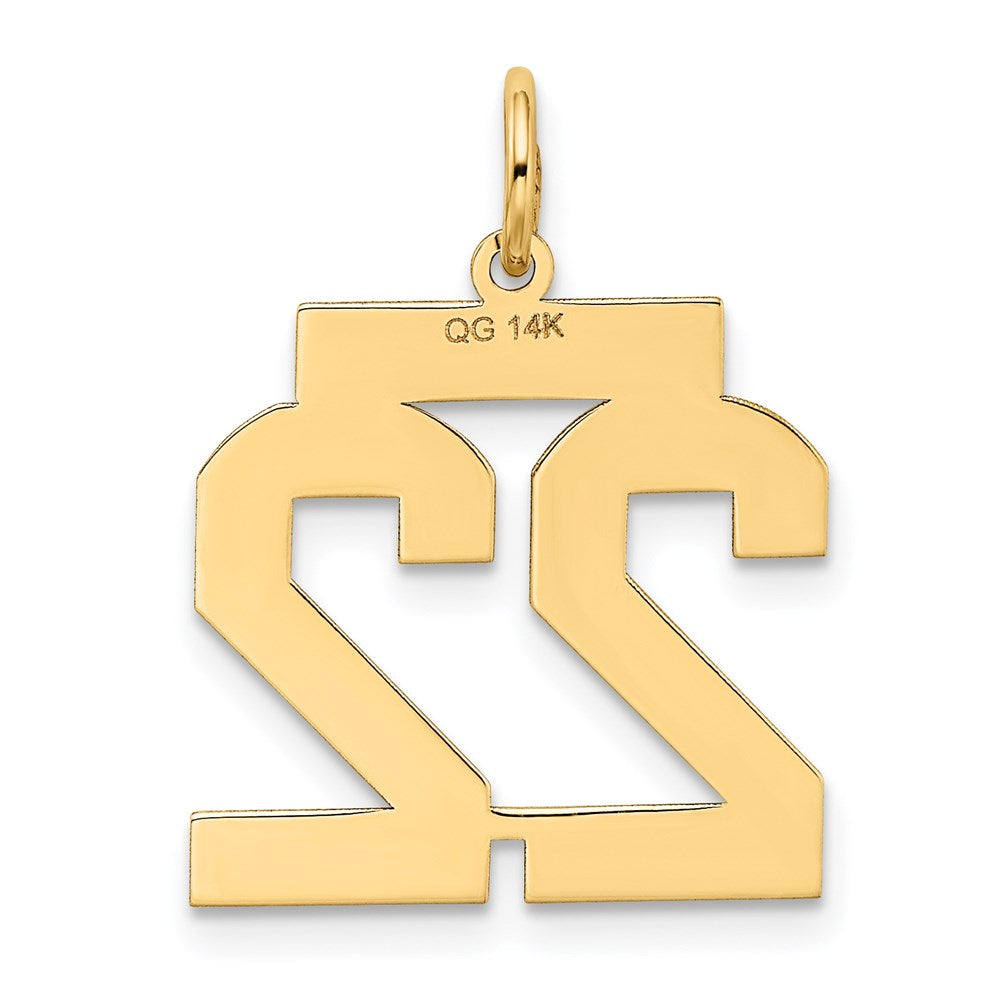 14k Medium Satin Number 22 Charm