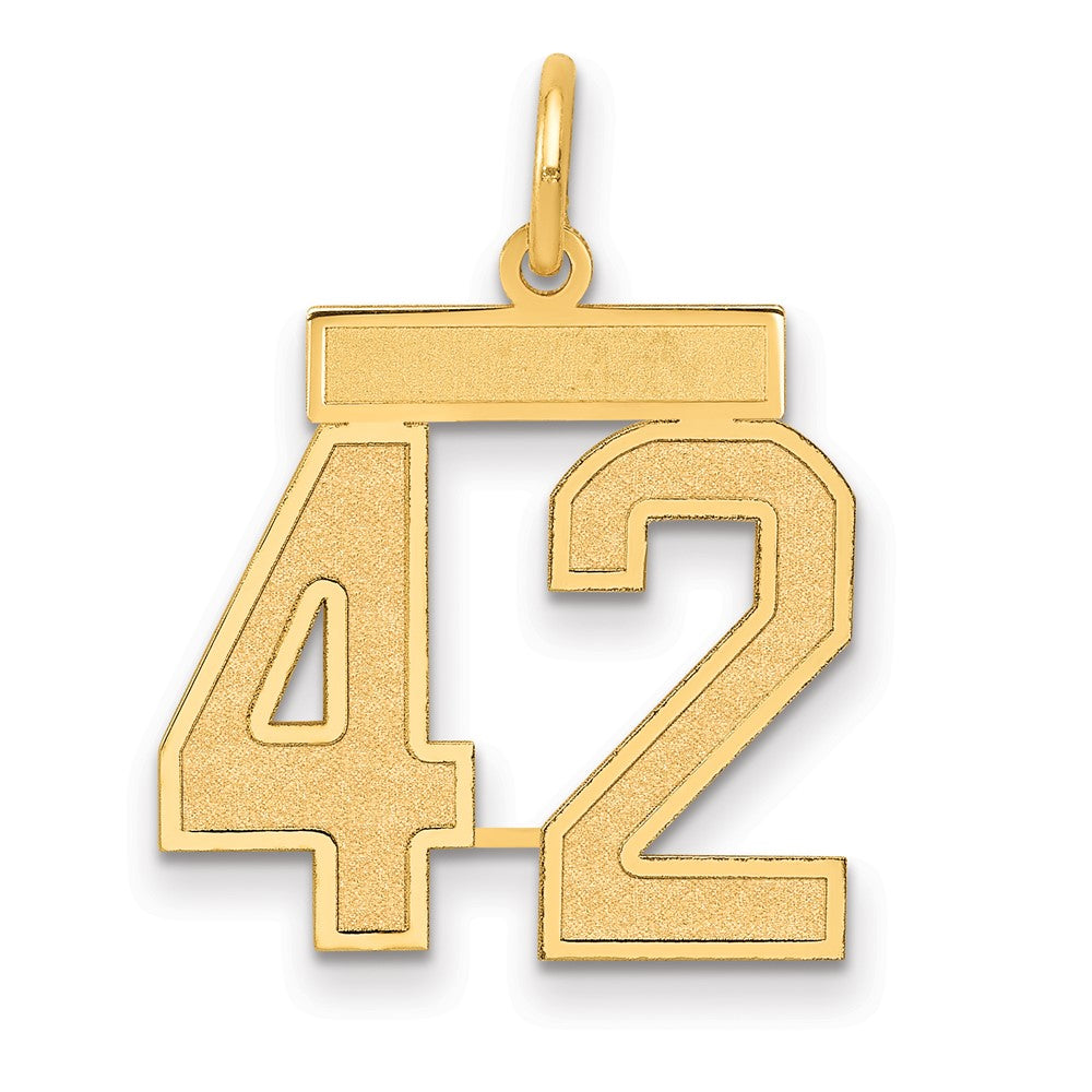 14k Medium Satin Number 42 Charm