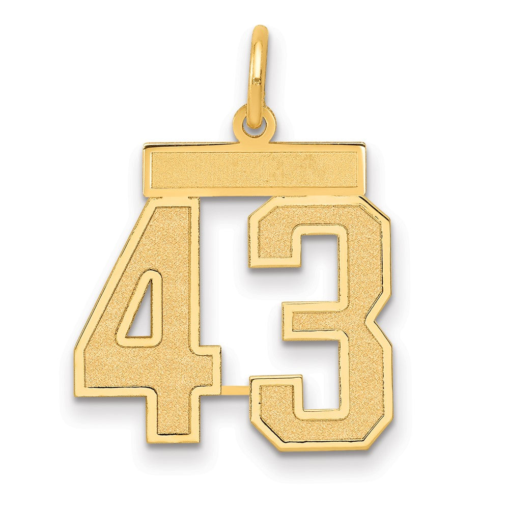 14k Medium Satin Number 43 Charm