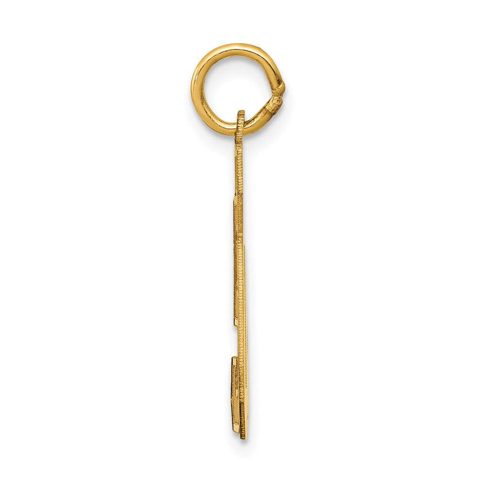 14k Medium Satin Number 50 Charm