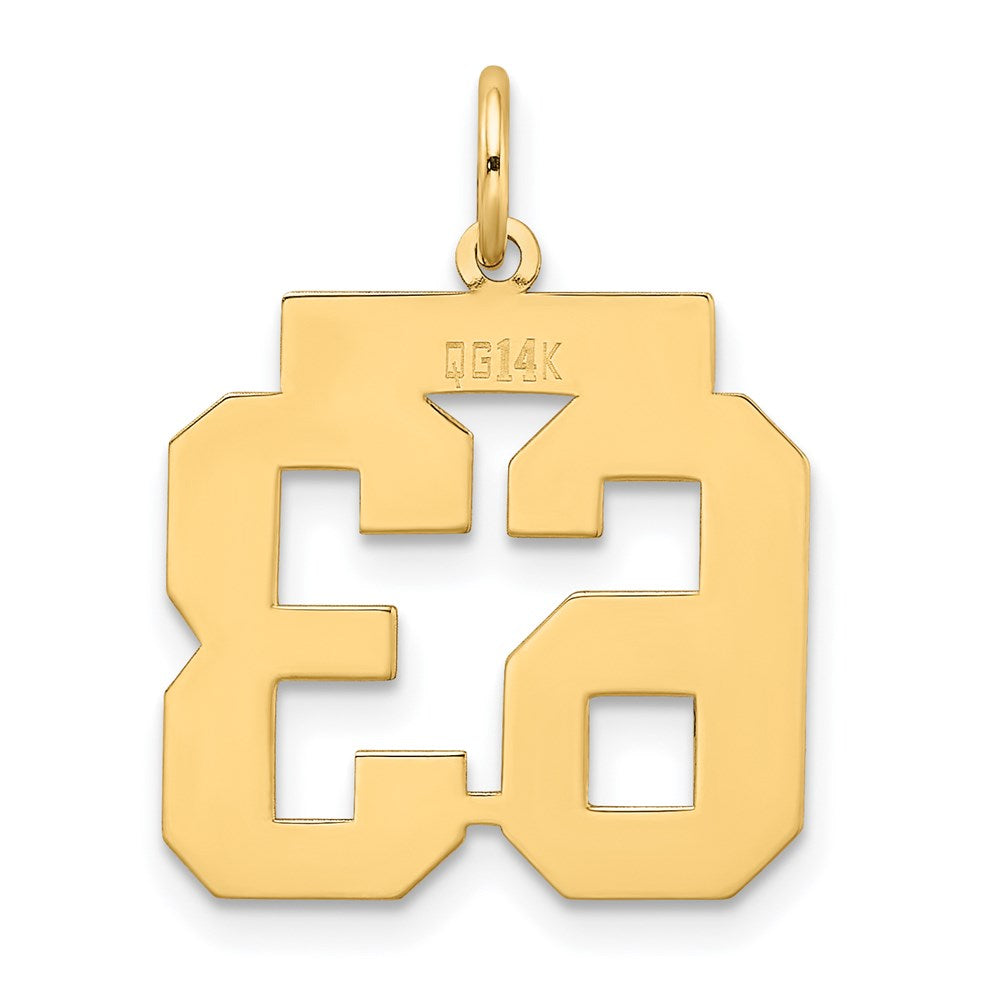 14k Medium Satin Number 63 Charm