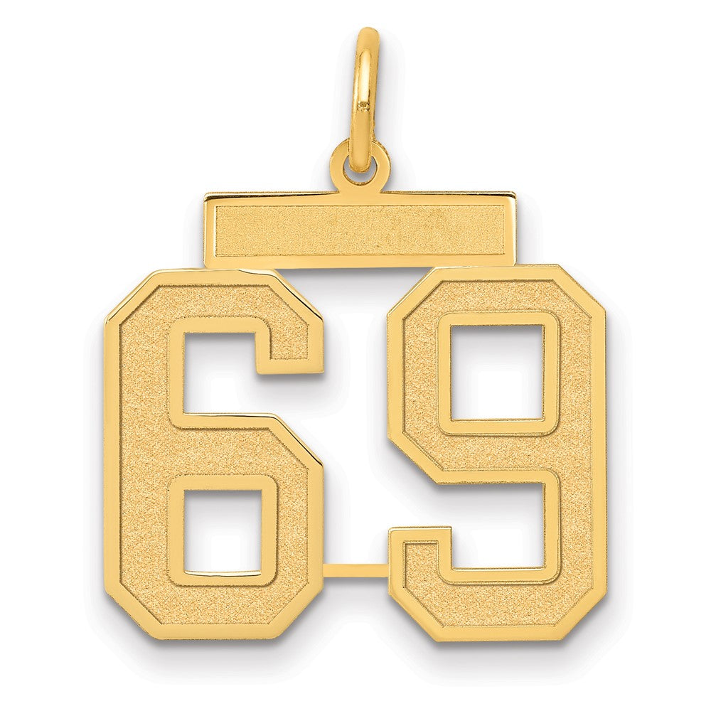 14k Medium Satin Number 69 Charm