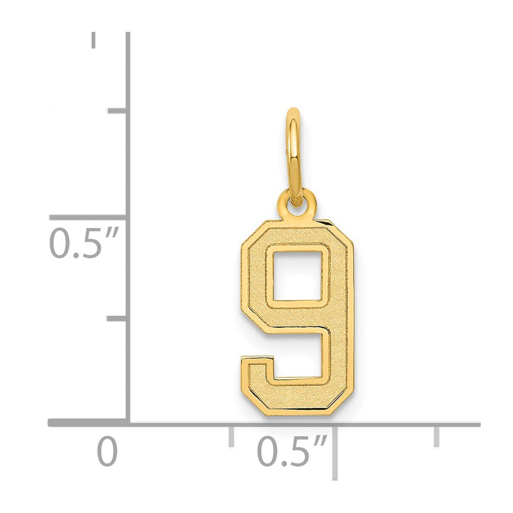 14k Small Satin Number 9 Charm