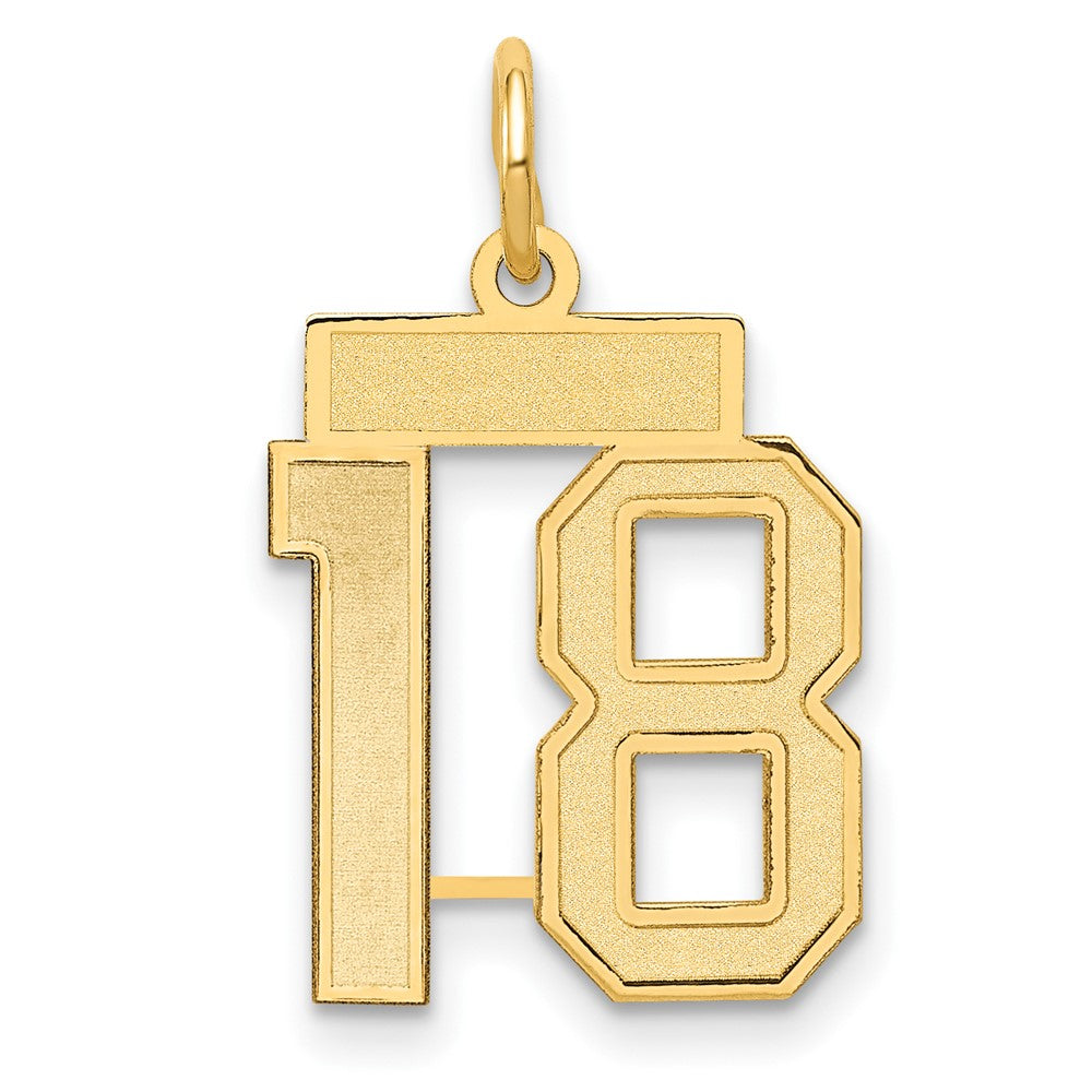 14k Small Satin Number 18 Charm