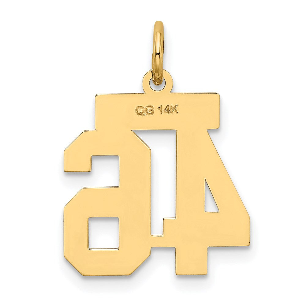 14k Small Satin Number 46 Charm