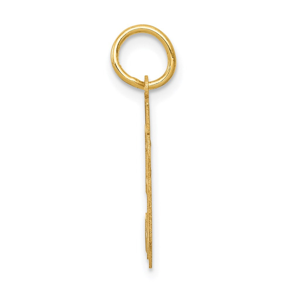 14k Small Satin Number 50 Charm
