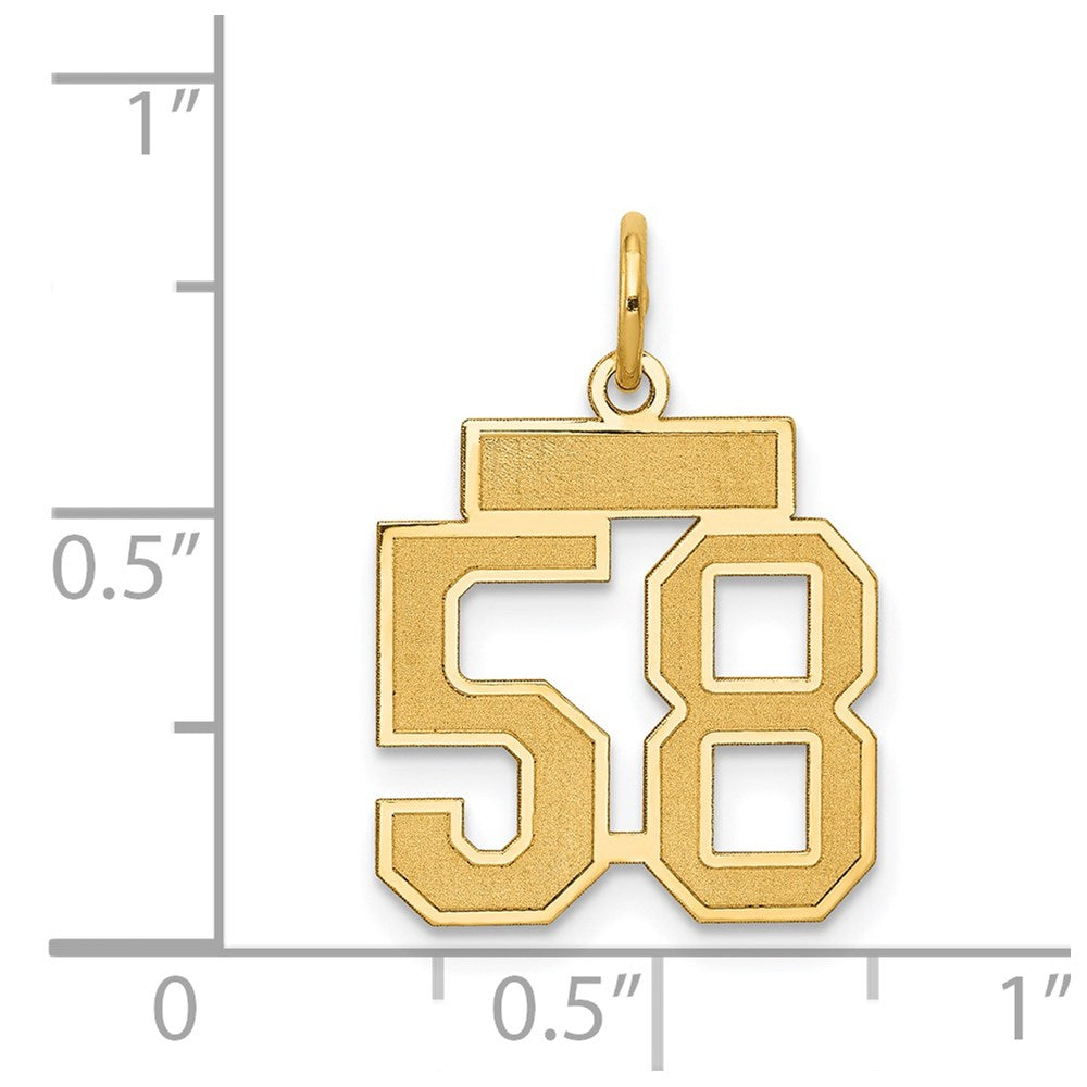 14k Small Satin Number 58 Charm