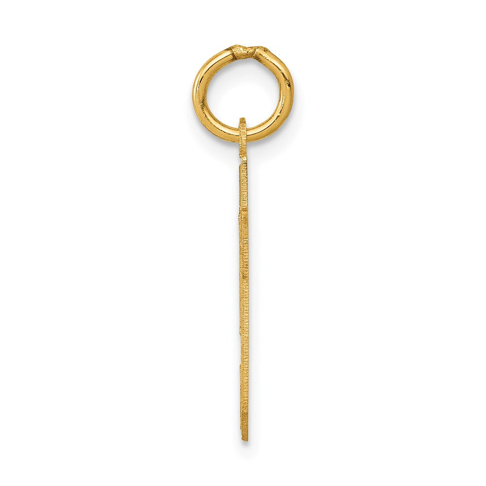 14k Small Satin Number 59 Charm