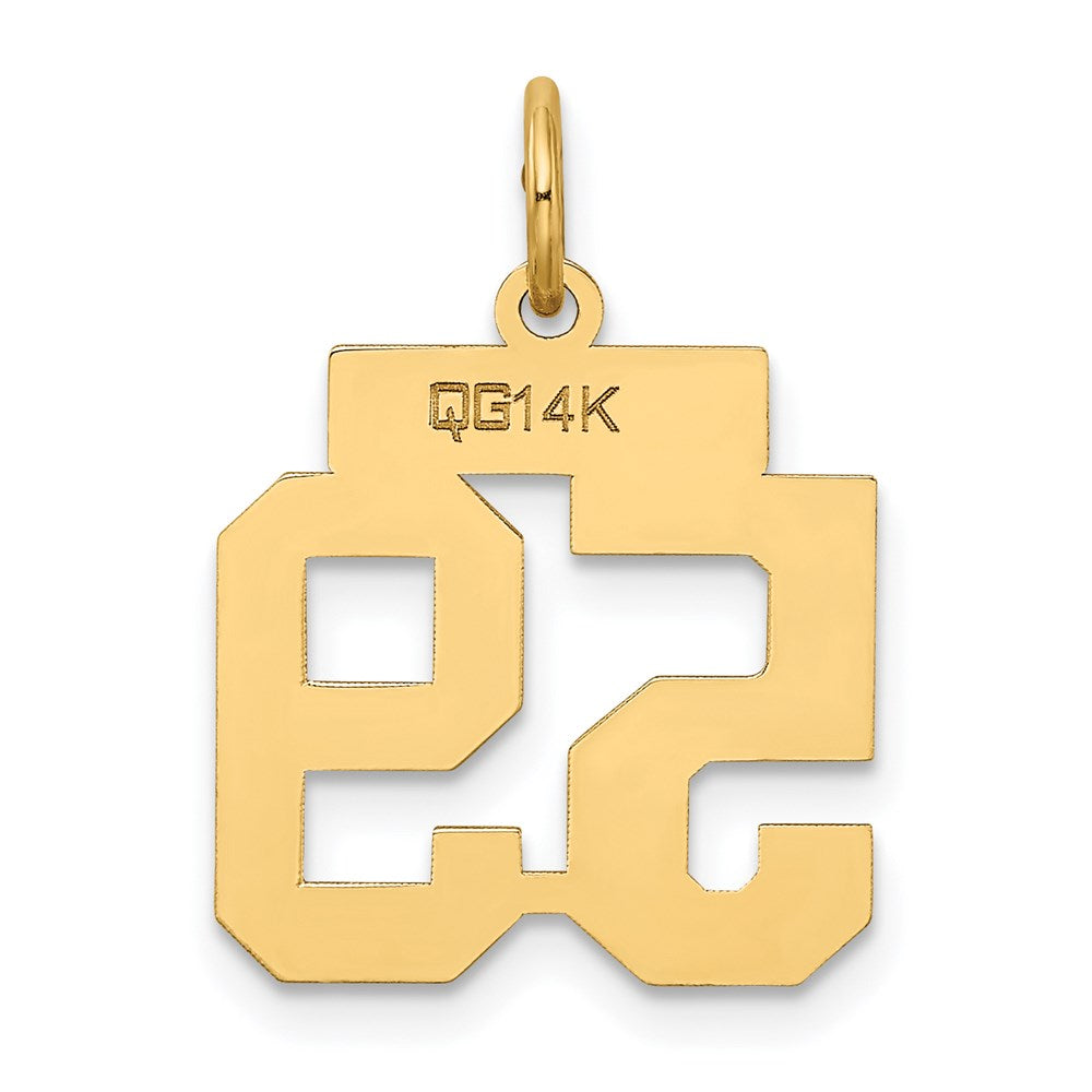 14k Small Satin Number 59 Charm