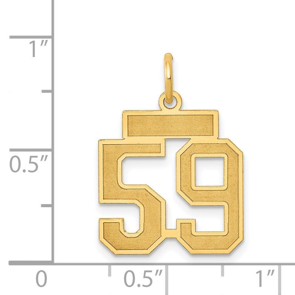 14k Small Satin Number 59 Charm