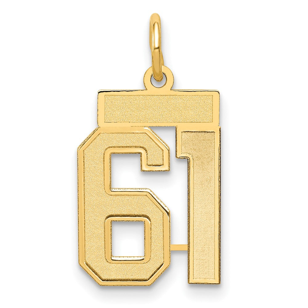 14k Small Satin Number 61 Charm
