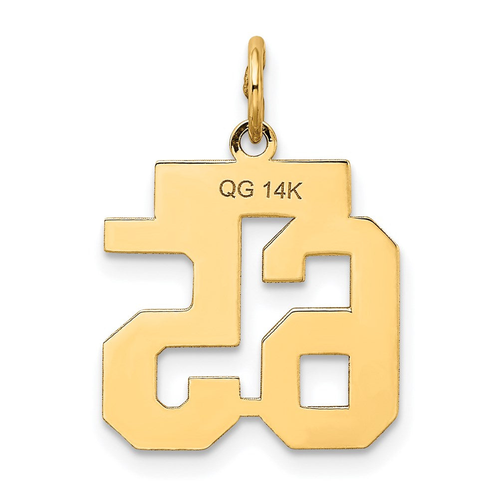 14k Small Satin Number 65 Charm